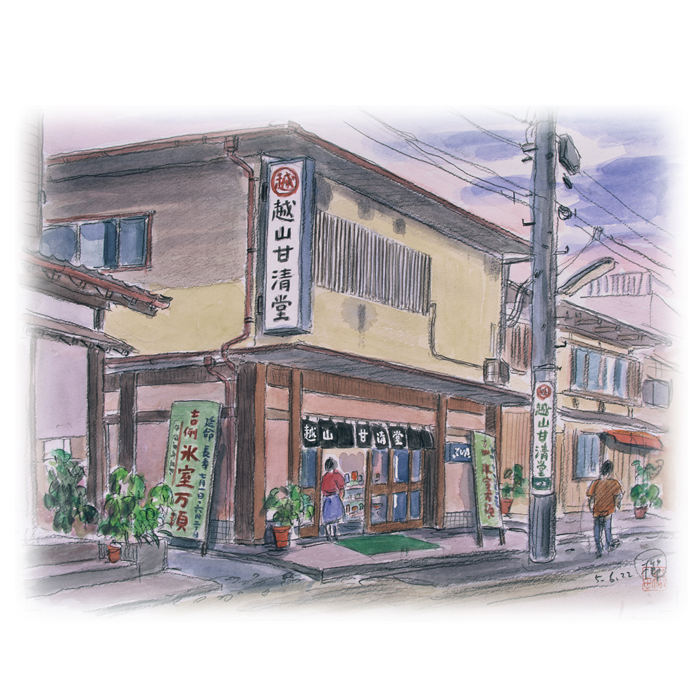 Koshiyama Kanseido Hakko Yokan