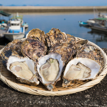 Sennari Hiroshima Gourmet Oyster Sauce