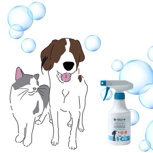 Be-Wash Pet Dry Shampoo