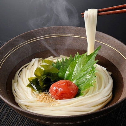 Tokushima Handa Tenobe Udon