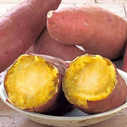 Ibaraki Beni Haruka Sweet Potato 3pcs 700g