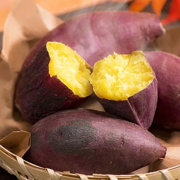 Ibaraki Beni Haruka Sweet Potato 3pcs 700g