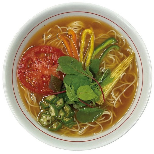 Fukuyama Vegan Instant Ramen