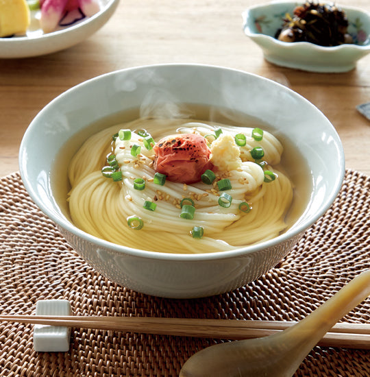 Tokushima Handa Somen