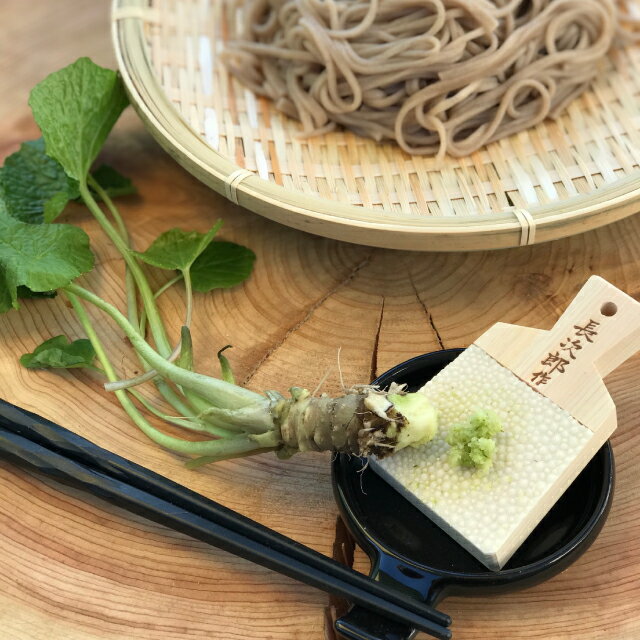 Chojiro Wasabi Grater