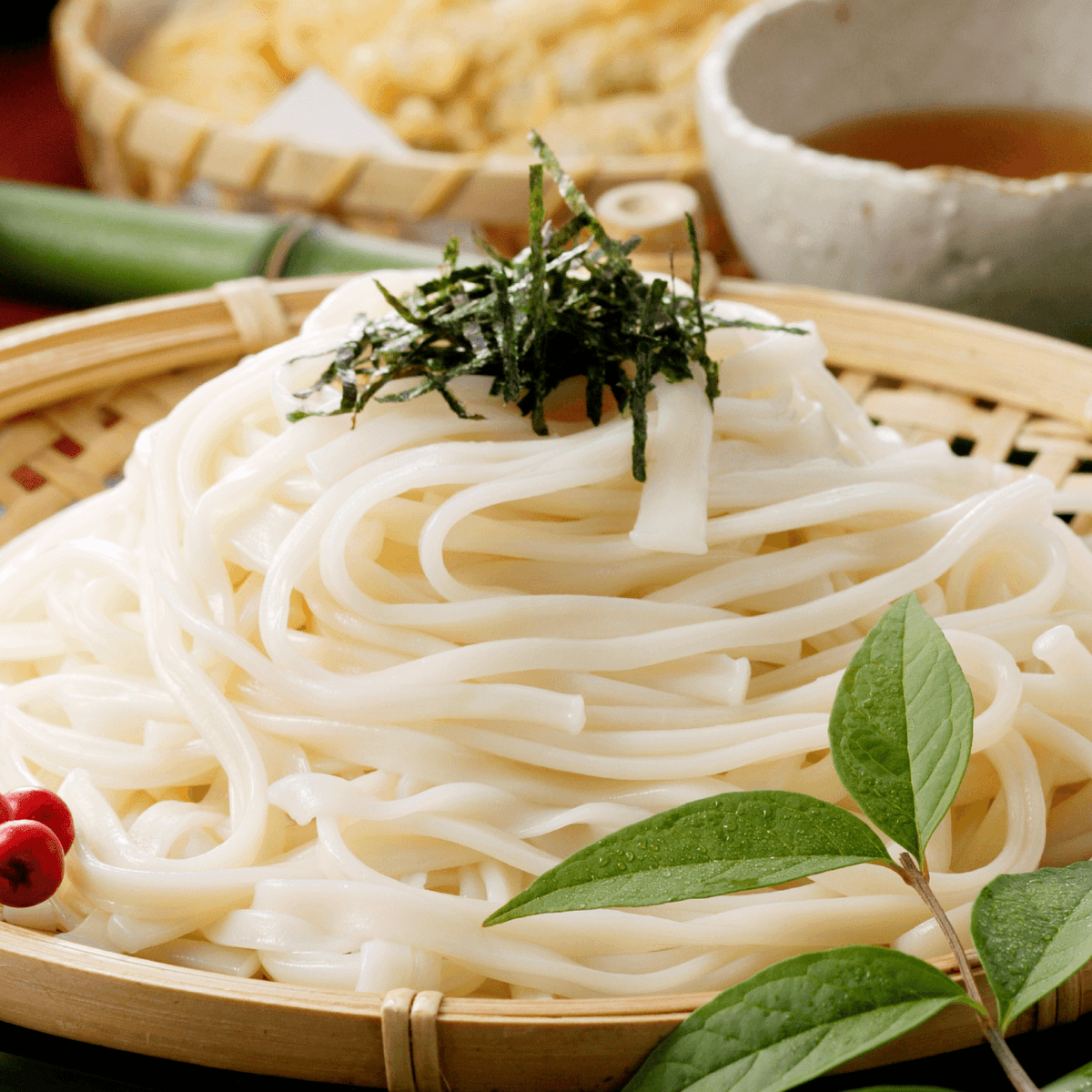 Tokushima Handa Tenobe Udon