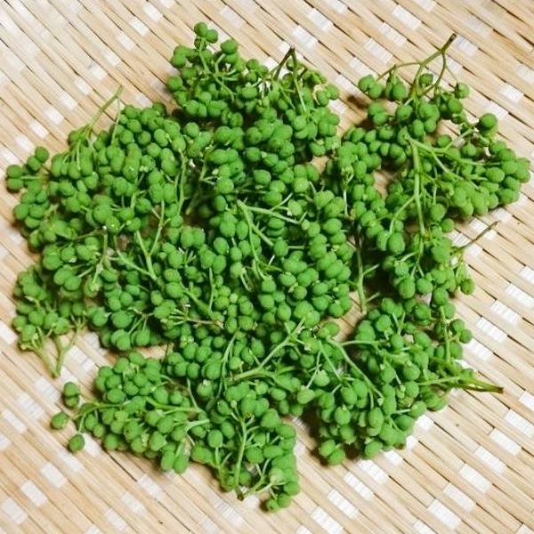 Tsuno Sansho Pepper Rice Bran Oil 97g